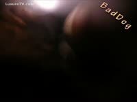 Horny bitch having sex with dog